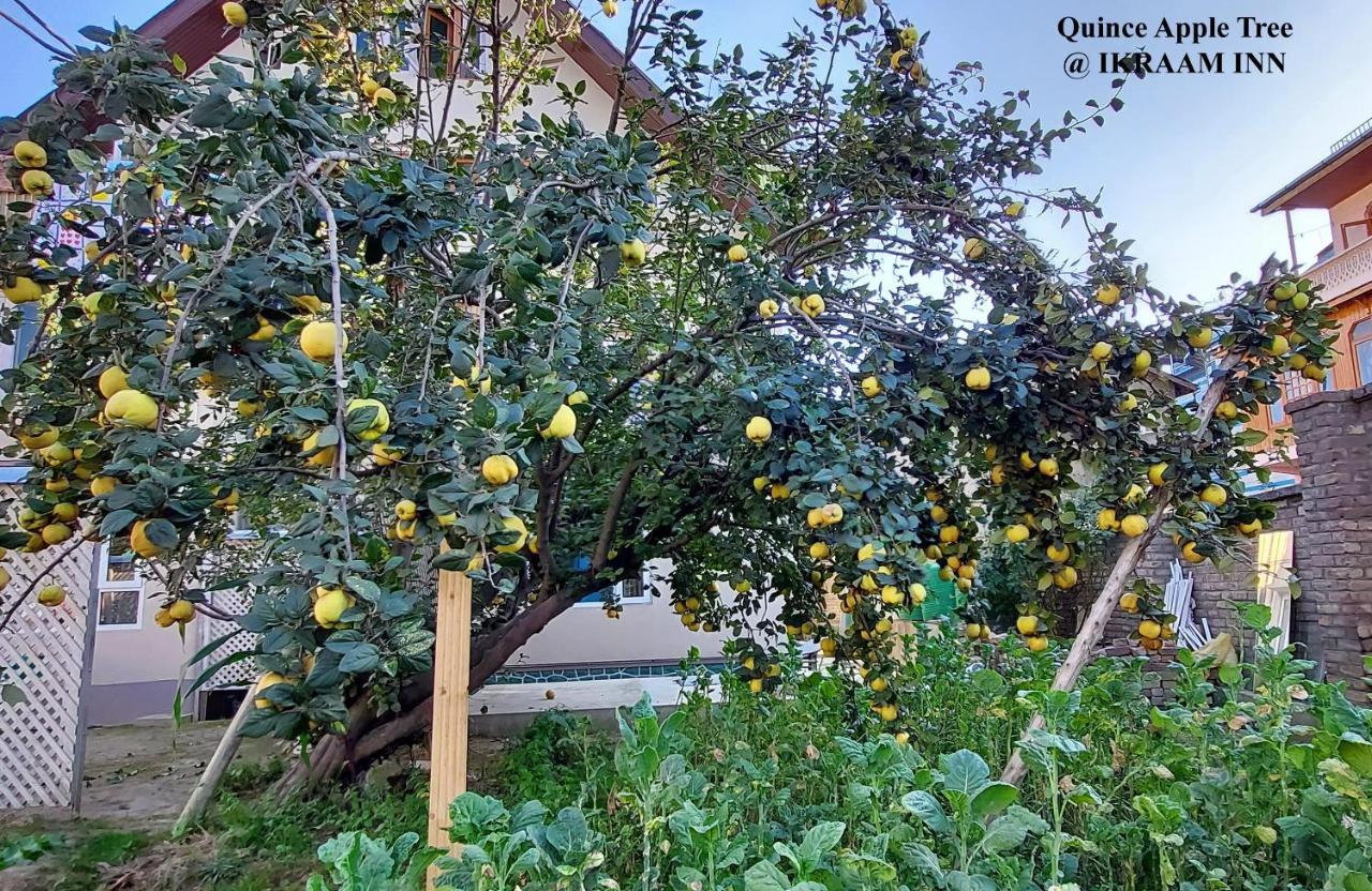 Ikraam Inn Bed & Breakfast Srīnagar Zewnętrze zdjęcie