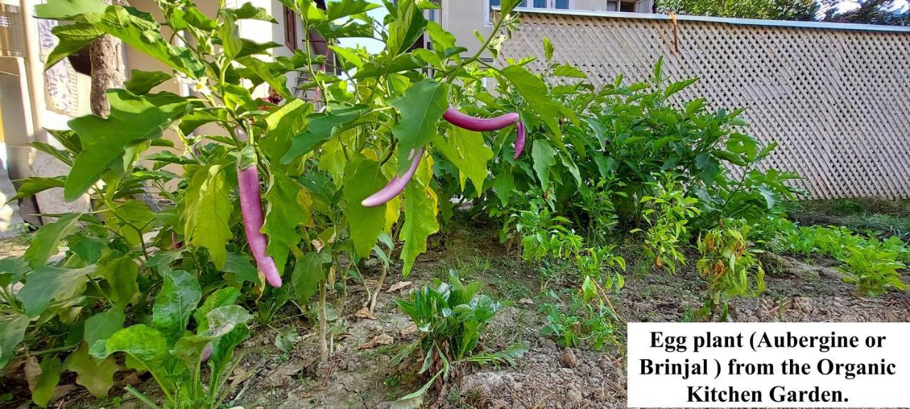 Ikraam Inn Bed & Breakfast Srīnagar Zewnętrze zdjęcie
